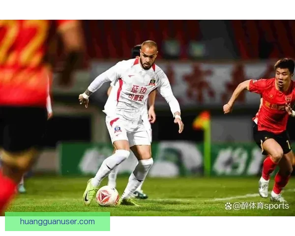 中甲第七轮观众热情高延边定南主场人气破万场均九千五百五十六人
